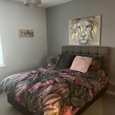 Apartament Corran Mews Larne Zewnętrze zdjęcie