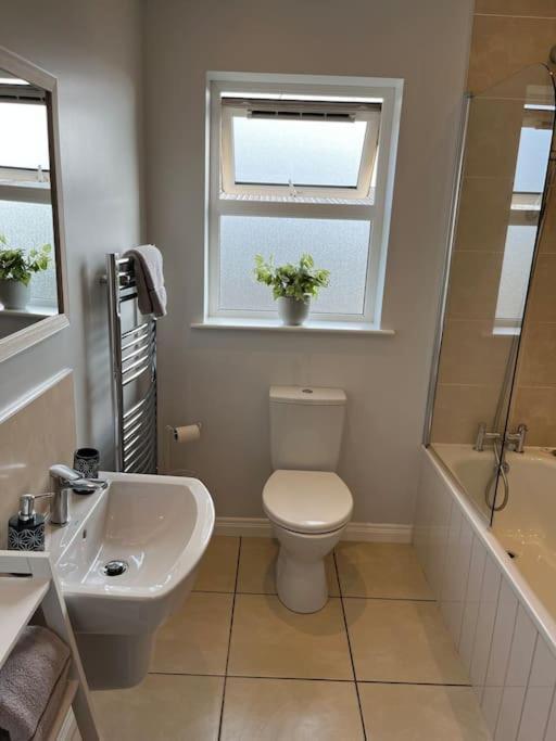 Apartament Corran Mews Larne Zewnętrze zdjęcie